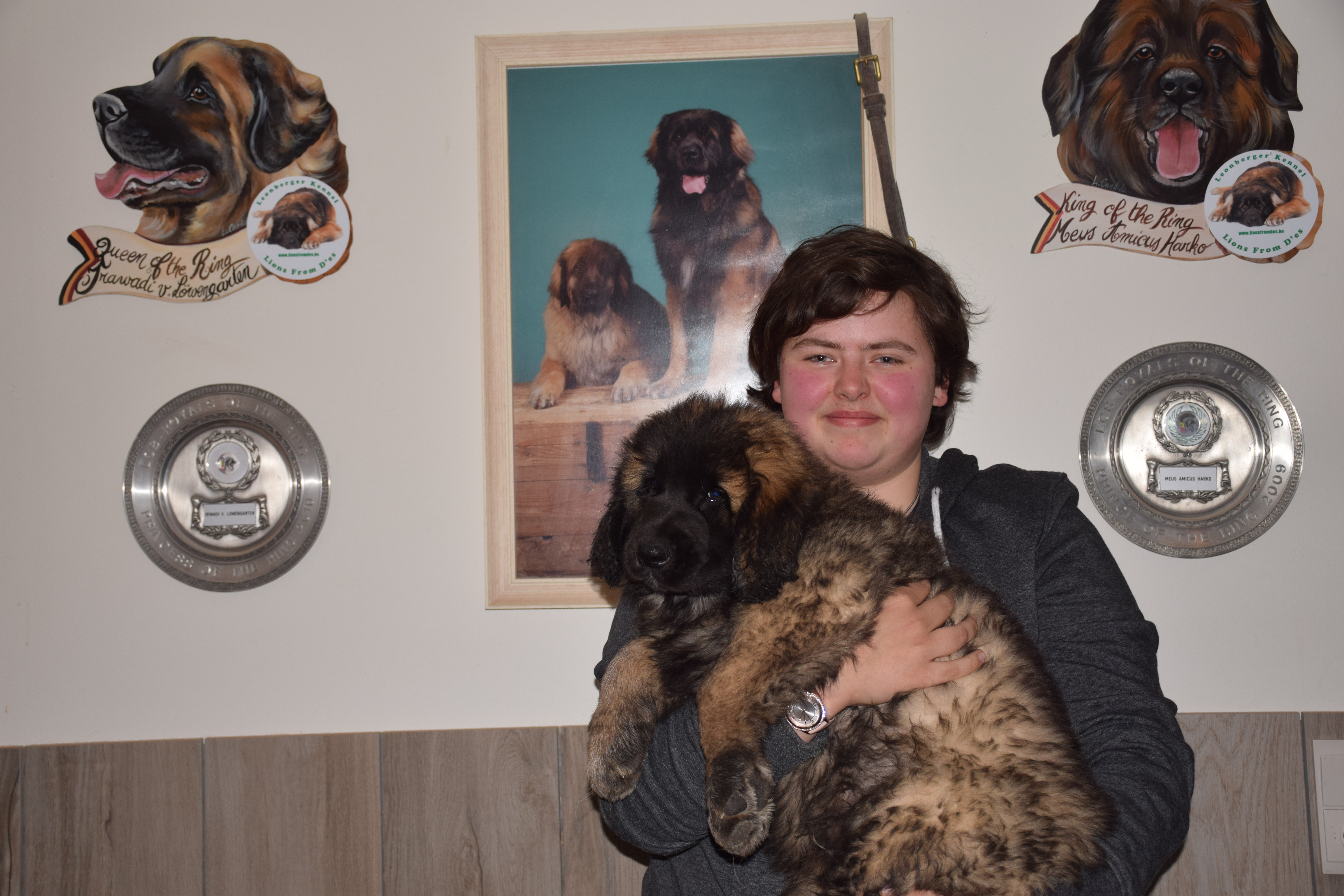 Zwart lintje Shado Lions from D' Es 